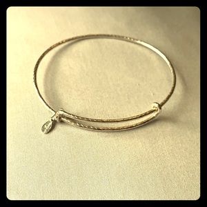 Alex and Ani expandable bracelet spacer